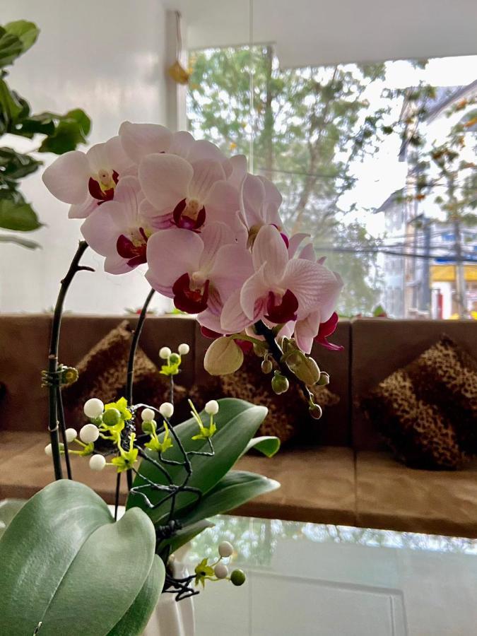 Duy Thao Hotel 大叻 外观 照片